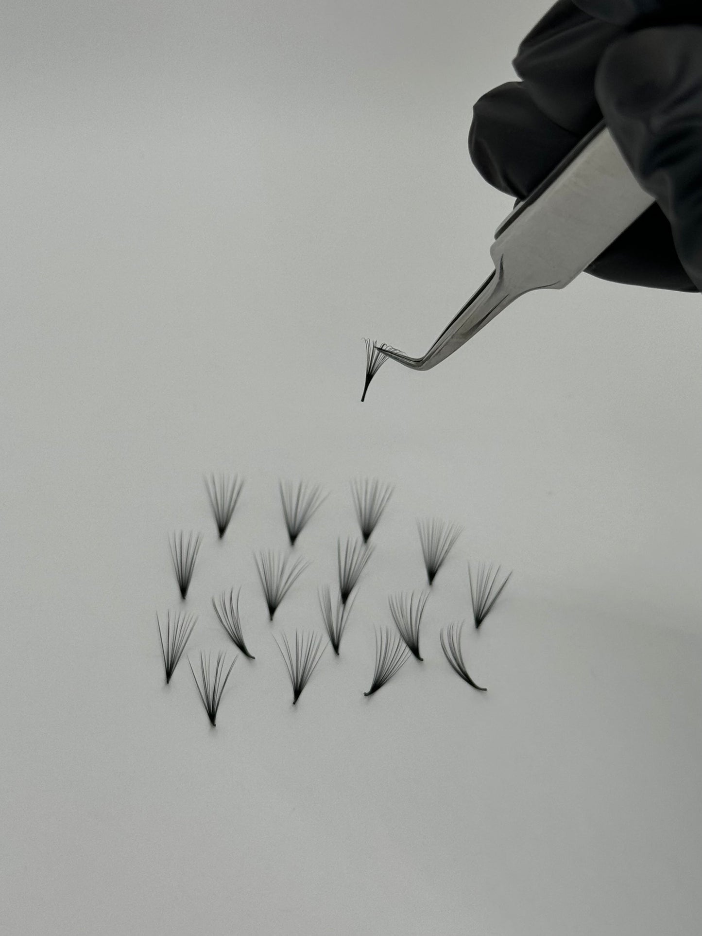 Signature Volume Single Length Lash Trays